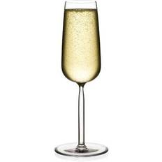 Iittala Senta Champagne Glass 21cl