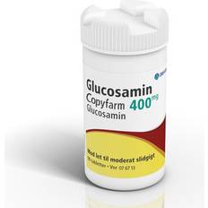 Glucosamin Copyfarm 400mg