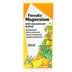 Glutenvrij Vitaminen en Mineralen Salus Floradix Magnesium 250ml