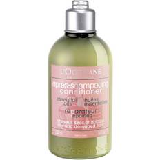 L'Occitane Balsami L'Occitane Aroma Repairing Conditioner