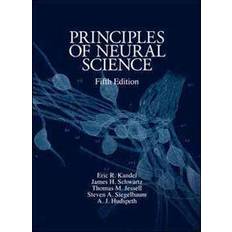 Principles of neural science Principles of Neural Science (Inbunden, 2012)