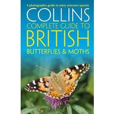 Science & Technology Books British Butterflies and Moths (Paperback, 2016)