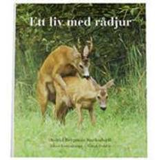 Böcker Ett liv med rådjur (Inbunden)