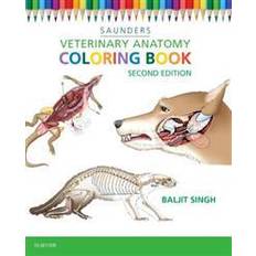 Books Veterinary Anatomy Coloring Book (Paperback, 2015)