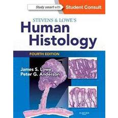 Books Steven's & Lowe's Human Histology (Paperback, 2014)