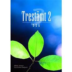Trestämt 2 SSA (Hæftet)