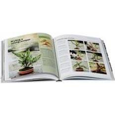 Bonsai Bonsai (Hardcover, 2014)