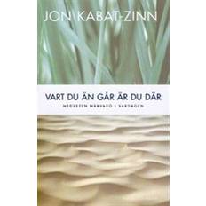 Vart du än går är du där: medveten närvaro i vardagen (Inbunden, 2005)