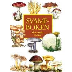 Svampboken: våra svenska svampar (Häftad)
