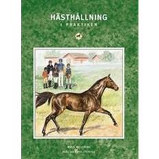 Hästhållning i praktiken (Häftad)