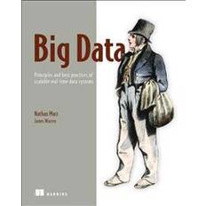 Big Data: Principles and Best Practices of Scalable Realtime Data Systems (Häftad, 2015)