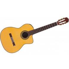 Takamine TH5C