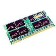 Transcend DDR2 800MHz 2GB For Apple (TS2GAP325)