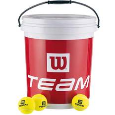 72 Balls Tennis Balls Wilson Trainer Team Ball - 72 Balls