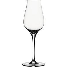 Spiegelau Drink Glasses Spiegelau Authentis Drink Glass 17cl 2pcs