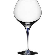 Blue Wine Glasses Orrefors Intermezzo Blue Bouquet White Wine Glass, Red Wine Glass 70cl