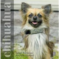 Chihuahua (Inbunden)