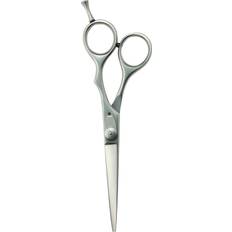 Professional Hairdressing Scissors