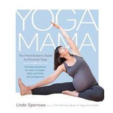 Prenatal yoga mama the practitioners guide to prenatal yoga (Paperback, 2016)