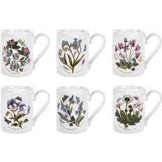 Portmeirion Koppar & Muggar Portmeirion Botanic Garden Mugg 28cl 6st