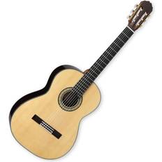 Takamine H8SS