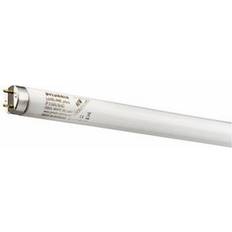 0001531 Fluorescent Lamp 58W G13