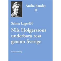 Nils holgerssons underbara resa genom sverige Nils Holgerssons underbara resa genom Sverige - andra bandet (E-bok, 2013)