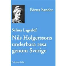 Nils holgerssons underbara resa genom sverige Nils Holgerssons underbara resa genom Sverige - första bandet (E-bok, 2013)