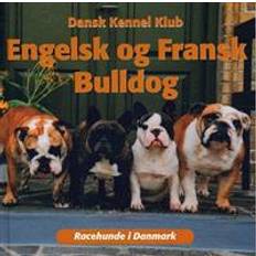 Fransk bulldog Engelsk og fransk bulldog (Indbundet)