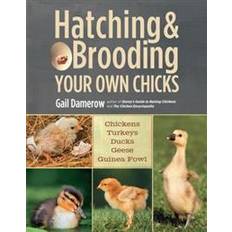 Hatching & Brooding Your Own Chicks (Paperback, 2013)