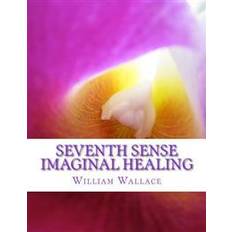 Donna eden Seventh Sense Imaginal Healing: An Homage to Dr. Richard Bartlett, Benjamin Bibb, Barbara Ann Brennan, Donna Eden, Dr. Meg Blackburn Losey, Dr. Gerald (Häftad, 2013)