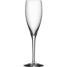 Orrefors Champagneglas Orrefors More Champagneglas 18cl 6st
