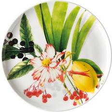 Rosenthal Assietter Rosenthal Brillance Les Fruits Assiett 18cm