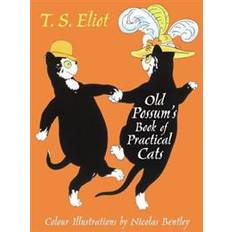 The Illustrated Old Possum (Hardcover, 2014)
