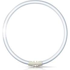 Tl5 2gx13 Philips T5 Fluorescent Lamp 55W 2GX13