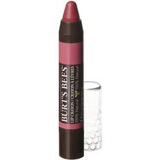 Burt's Bees Lip Crayon Niagara Overlook