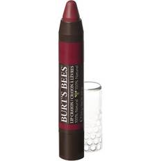 Burt's Bees Lip Crayon Redwood Forest