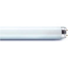 0001511 Fluorescent Lamp 36W G13