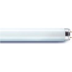 Sylvania Leuchtmittel Sylvania 0001514 Fluorescent Lamp 36W G13