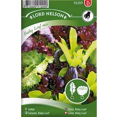 Nelson Garden Salat Baby Leaf Mix Grøntsagsfrø