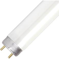 0002218 Fluorescent Lamp 18W G13