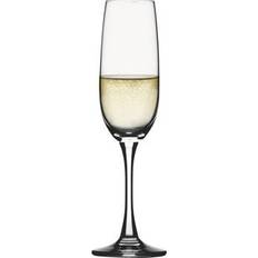 Spiegelau Glas Champagneglas Spiegelau Soiree Champagneglas
