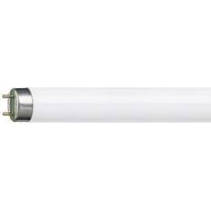 Light Bulbs Philips Master TL-D Super 80 Fluorescent Lamp 30W G13 840