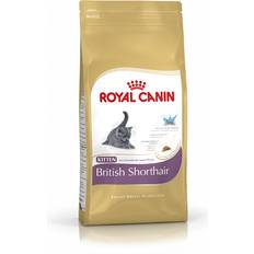 Royal canin british shorthair Royal Canin British Shorthair Kitten 0.4kg