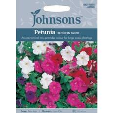 Flower Seeds Johnson's Petunia 'Bedding Mixed' 750 pack