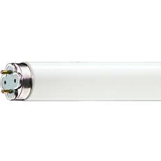 Philips Master TL-D Xtreme Fluorescent Lamp 58W G13 840