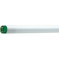 Philips Master TL-D Eco Fluorescent Lamp 32W G13 865