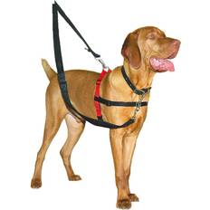 Halti Training Harness S