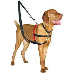Training Harness S