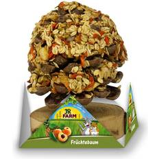 JR Farm Lemmikit JR Farm Hedelmäpuu 540g 2 kpl